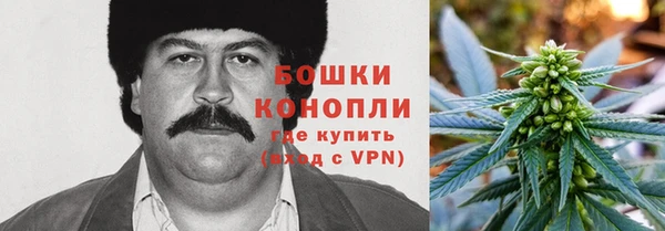 гашик Нея