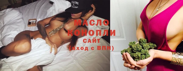 гашик Нея