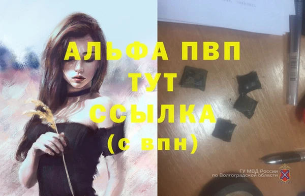 прущие крисы Верхний Тагил