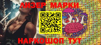 шишки Заволжье