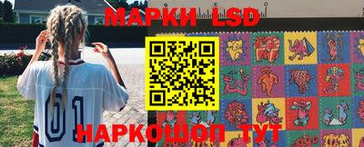 гидропоника Будённовск