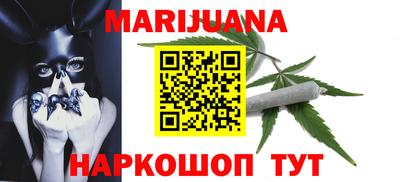 шишки Заволжье