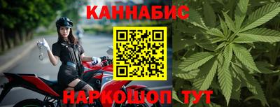 шишки Заволжье