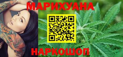 шишки Заволжье