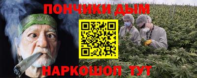 шишки Заволжье