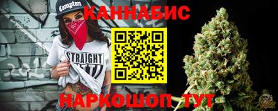 гидра Заводоуковск