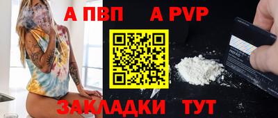 шишки Заволжье