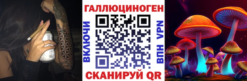 Псилоцибиновые грибы прущие грибы  Старая Русса 