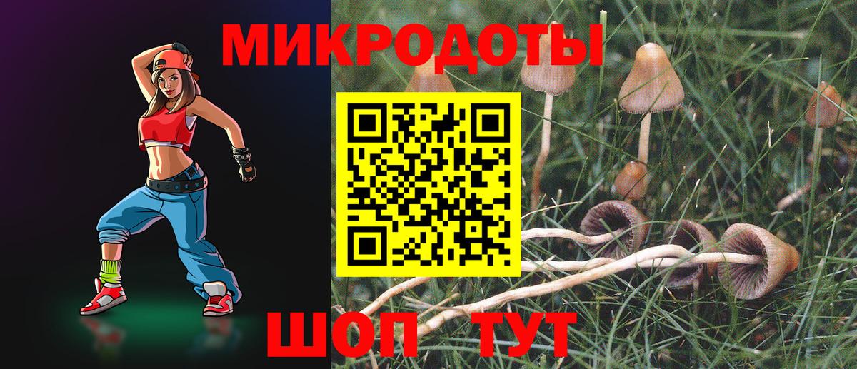 Старая Русса  Псилоцибиновые грибы мицелий  Вход с VPN 