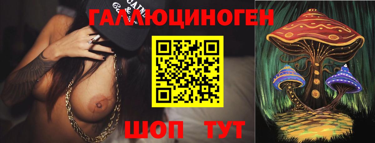 Псилоцибиновые грибы мицелий  Старая Русса 