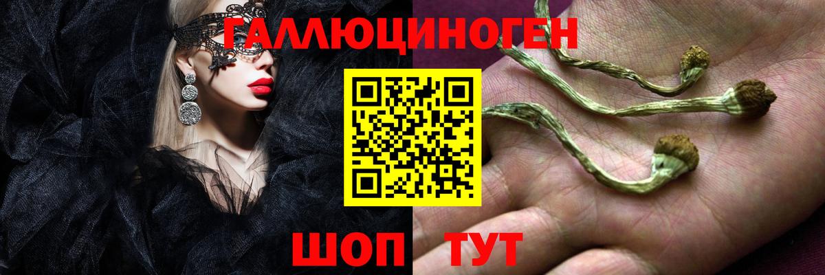 Псилоцибиновые грибы MAGIC MUSHROOMS Старая Русса